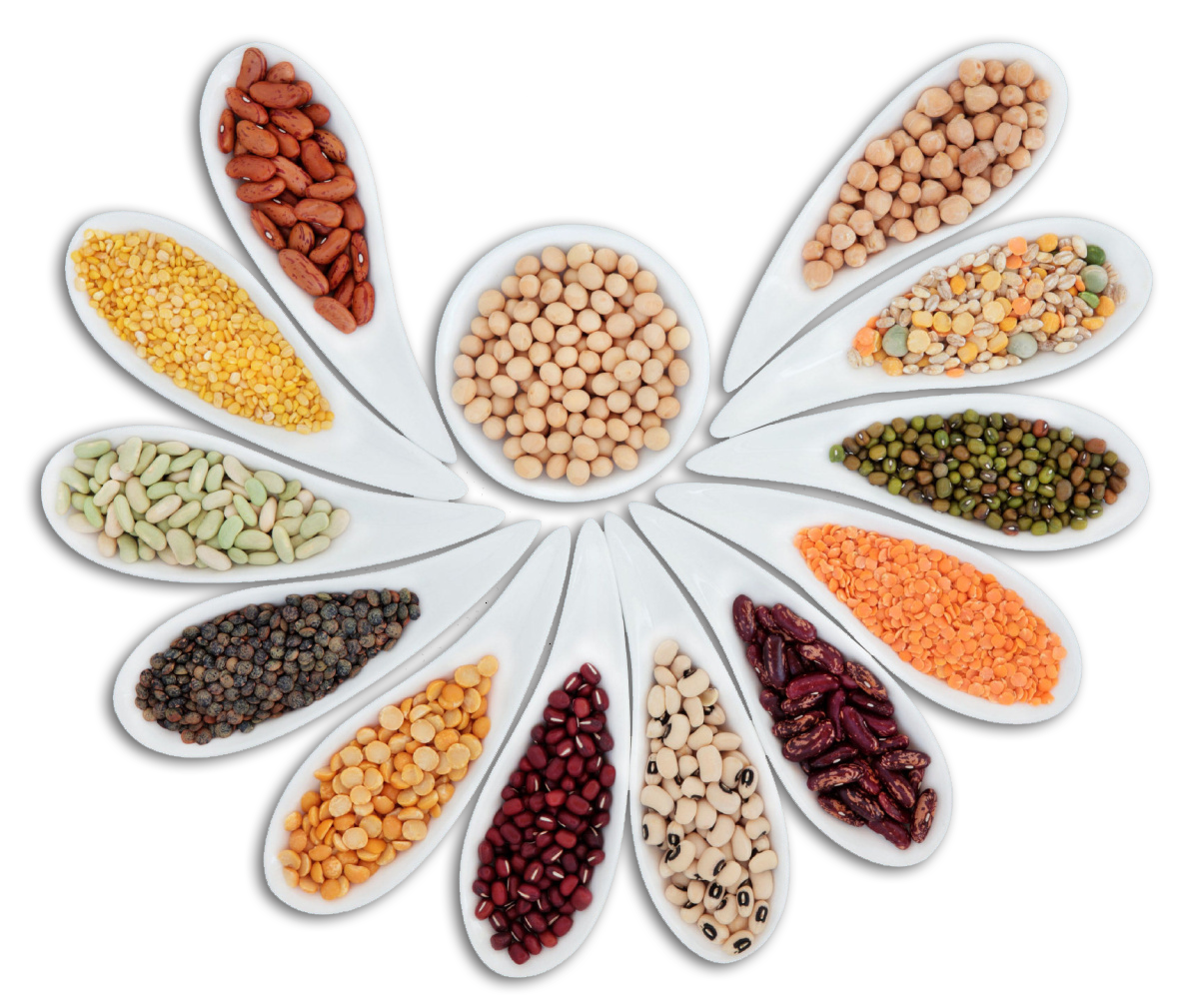 Dal & Pulses