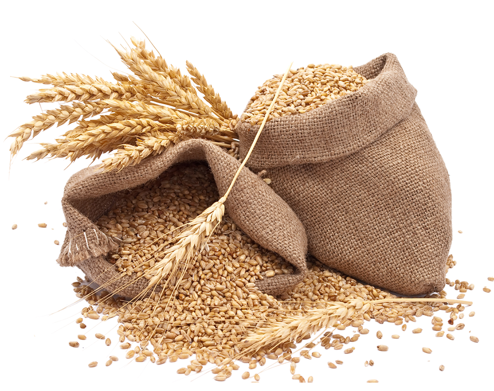Wheat Atta